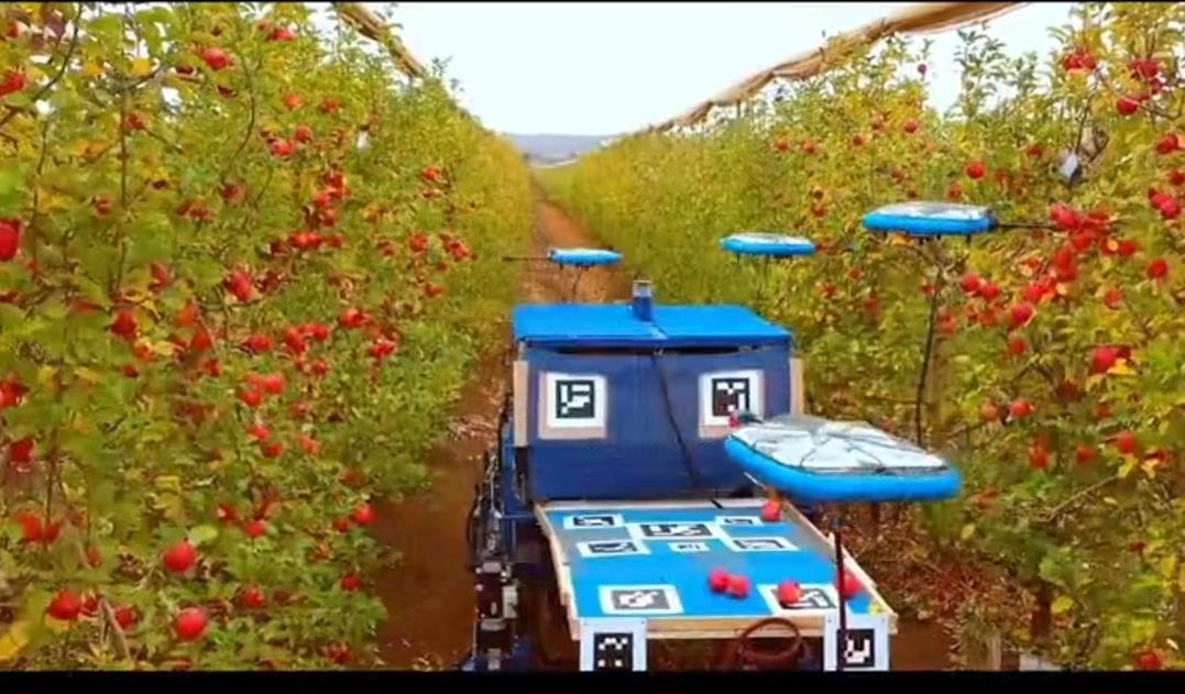 以色列采摘水果不用手24小时作业，AI无人机提高生产效率，长啥样