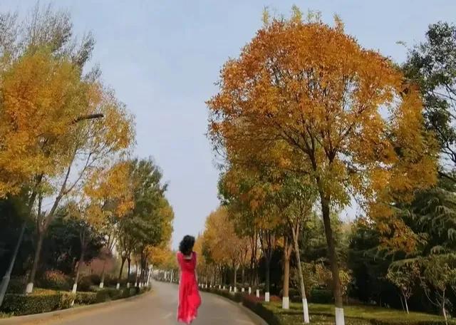 爱你许你共白头，余生的路上，有你就幸福