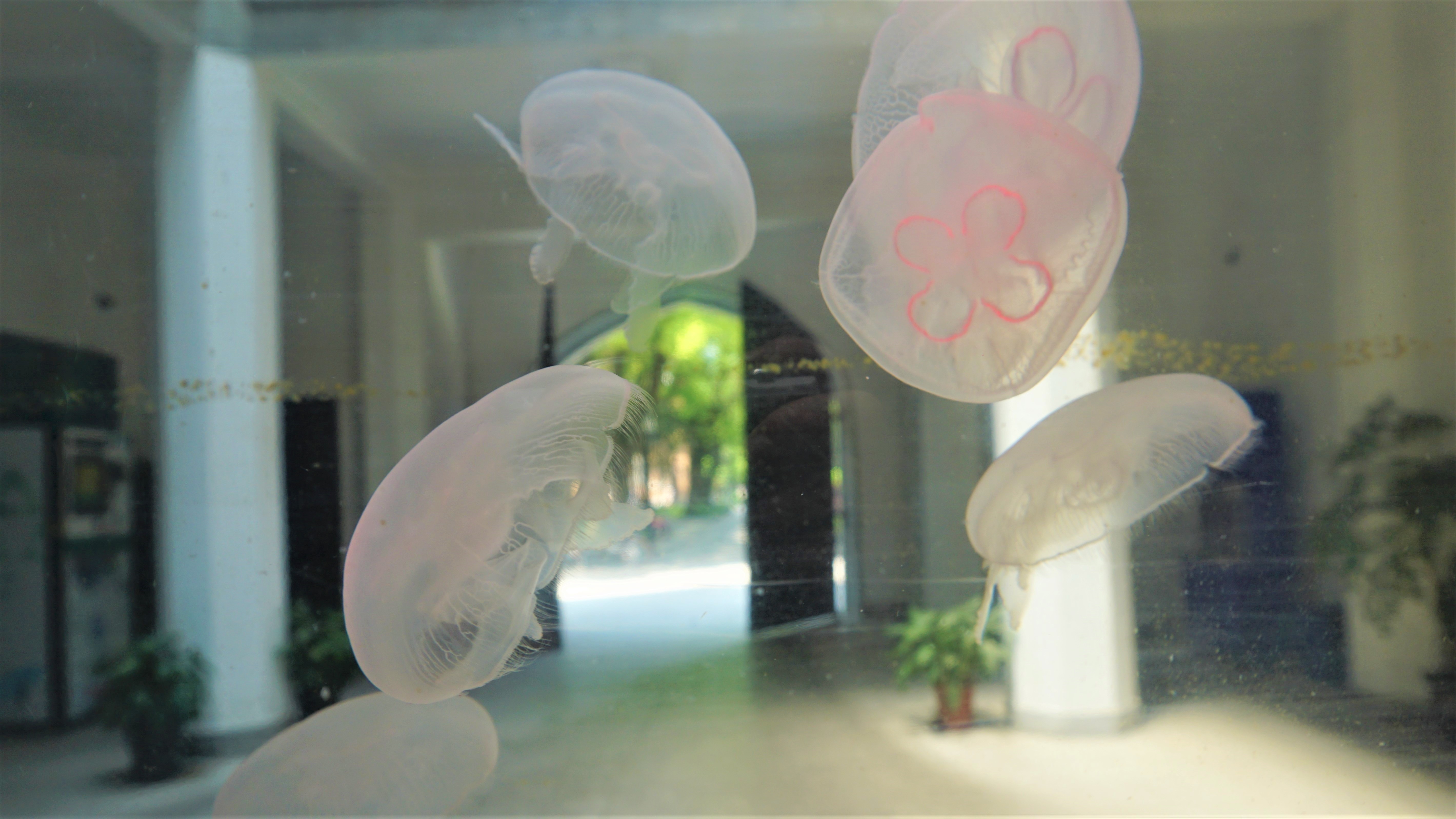 上海理工大学是魔都高校中的小确幸