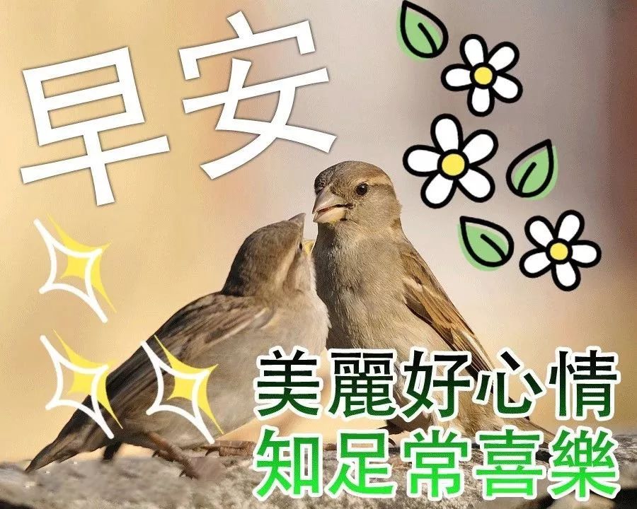 早上好祝福动态表情图片大全，顺心喜悦，开心迎接每一天图片