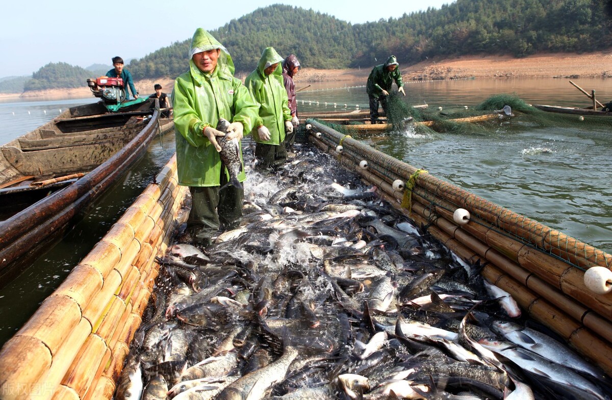 漁業水質標準,漁業水質標準參數表