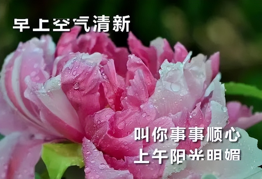非常时期问候朋友早上好图片温馨带字 早上空气清新 叫你事事顺心图片