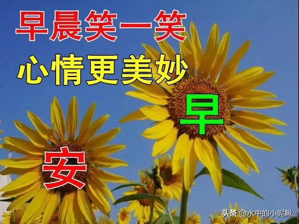 最新版早安正能量优美语录句子，优美文艺励志的早安语录短句子