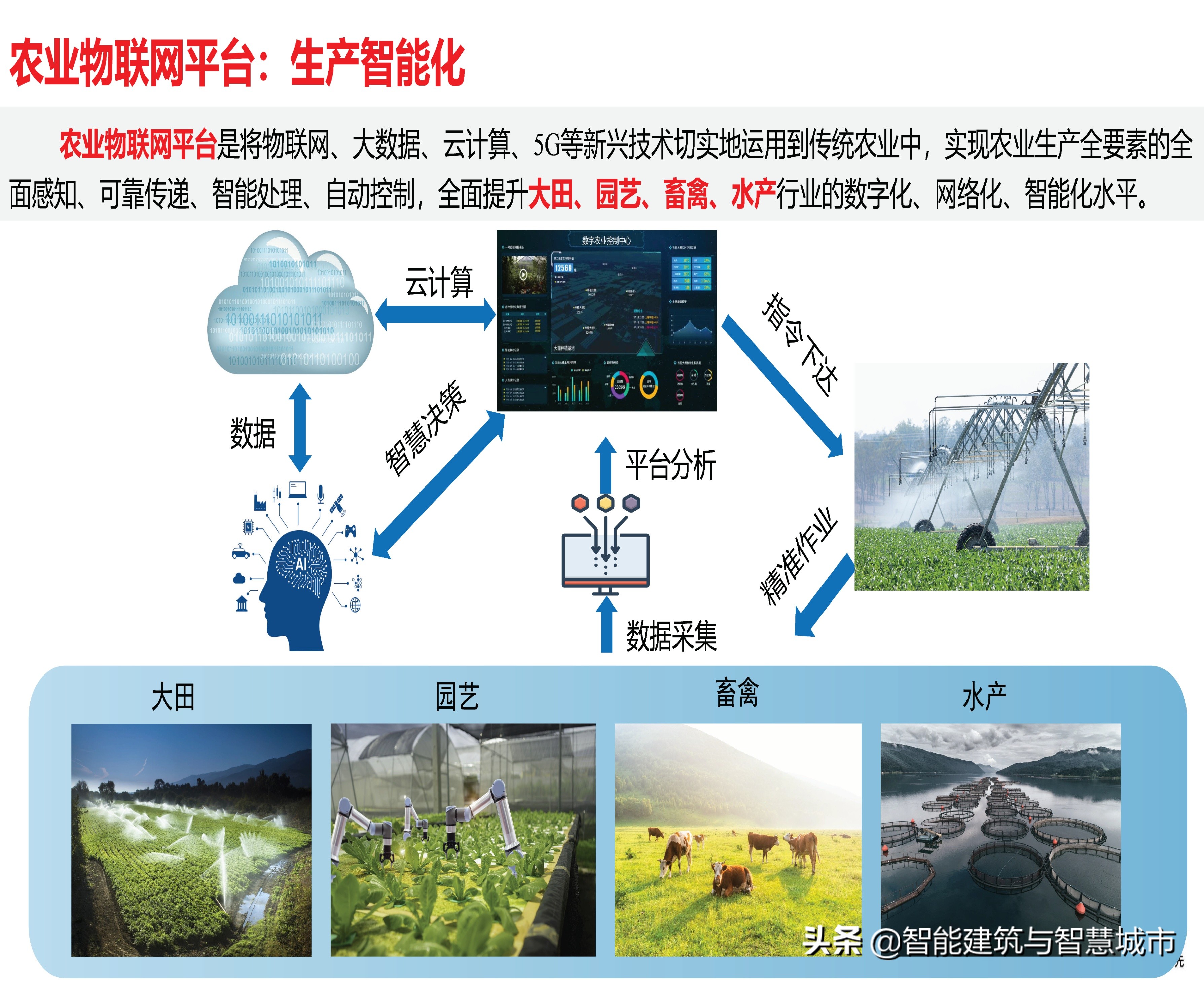 赛迪观点：平台经济：是什么？为什么？做什么？如何做？