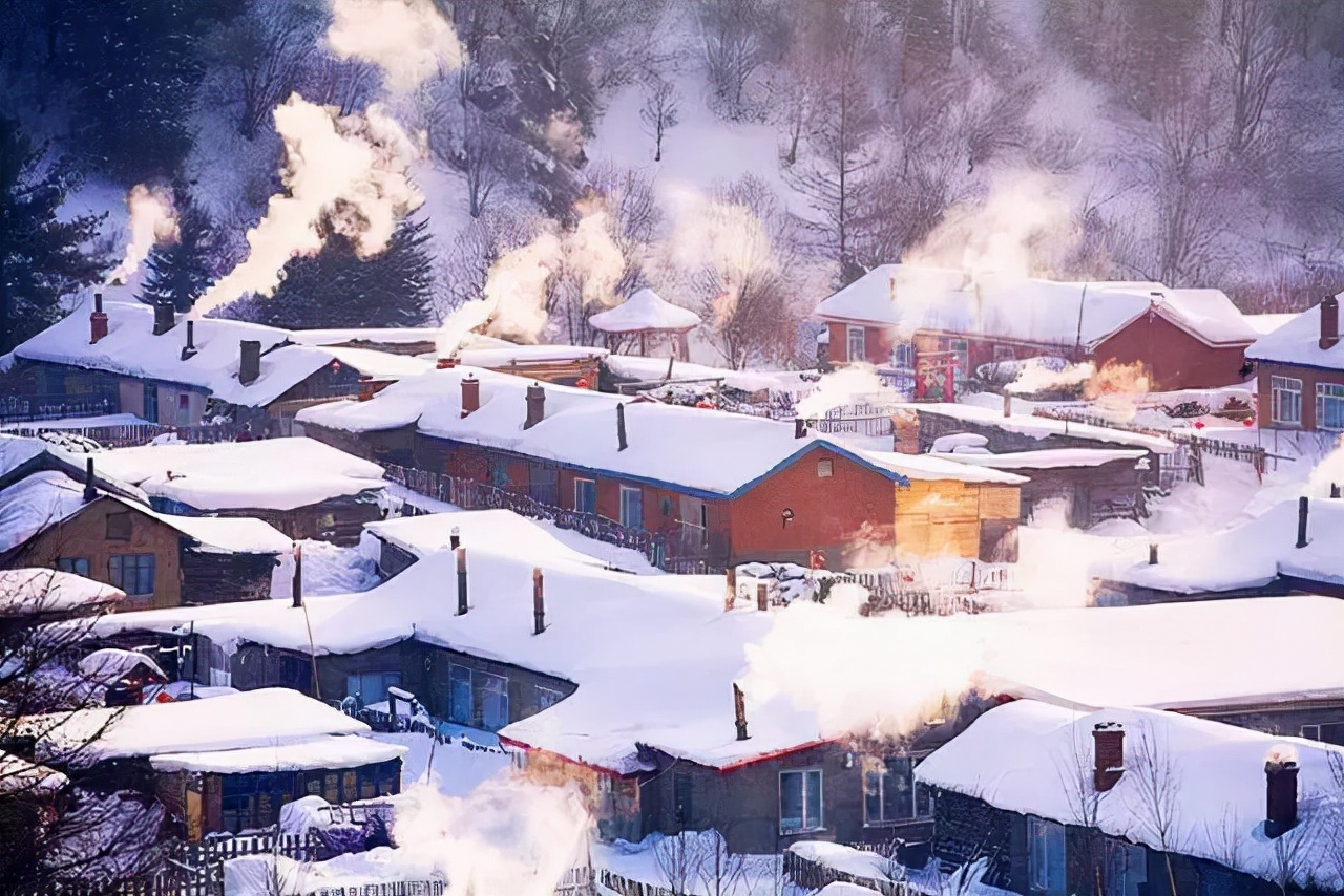 冬至寒枝垂柳瘦，孤影依稀映雪光。