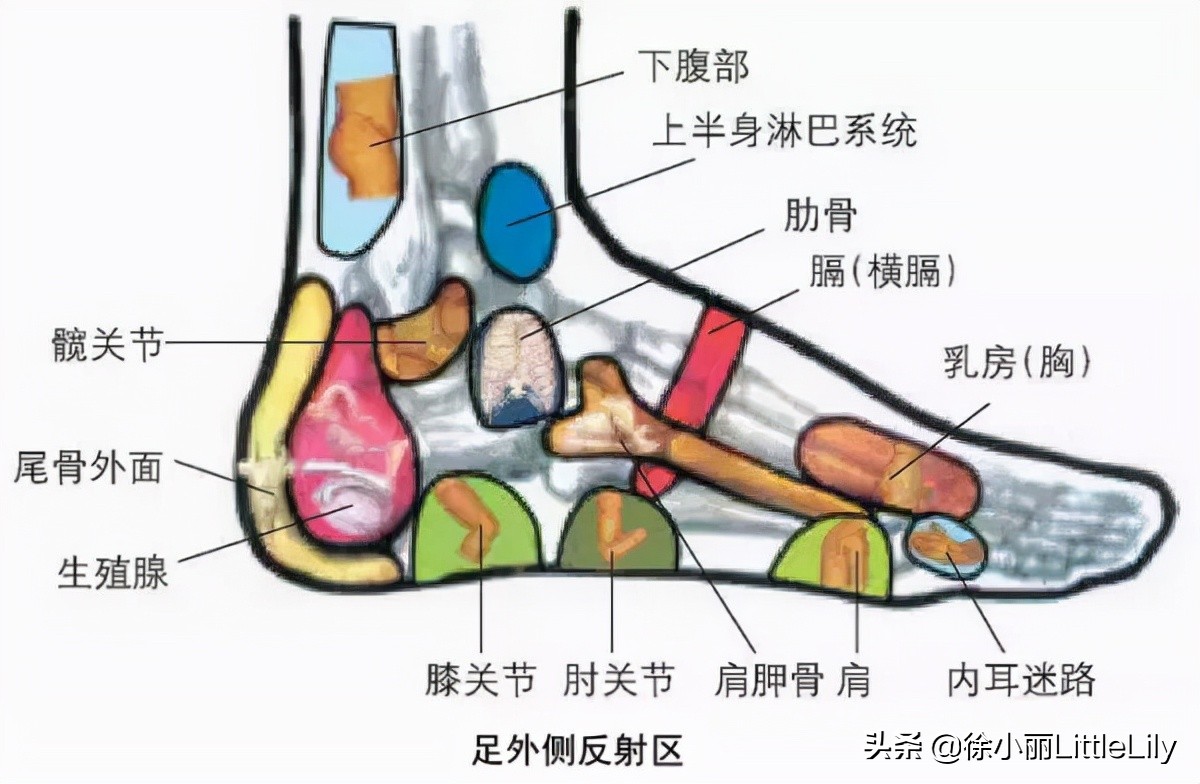 灸法选穴的基本原则