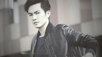 中国内地 奶油中年男星 钟汉良