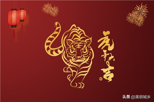 回家的时刻分享新生活红红火火过大年虎年只有355天！
