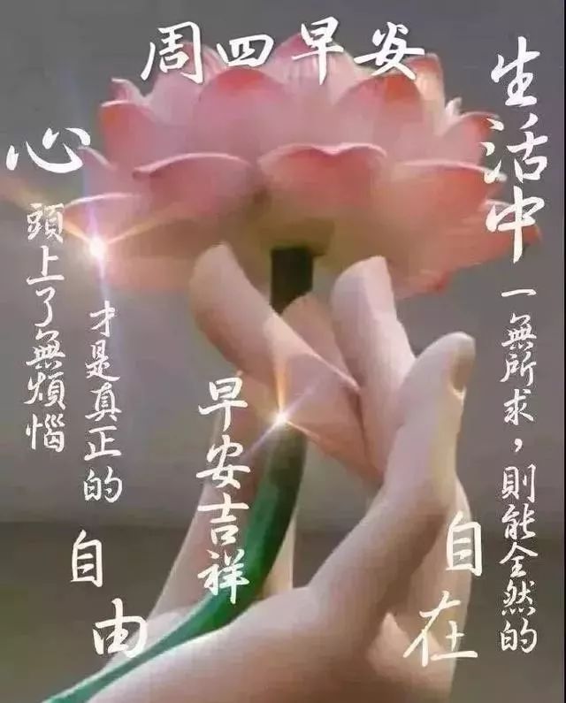 好看的早上好图片带祝福语，唯美春天早安问候图片，早安喜悦图片