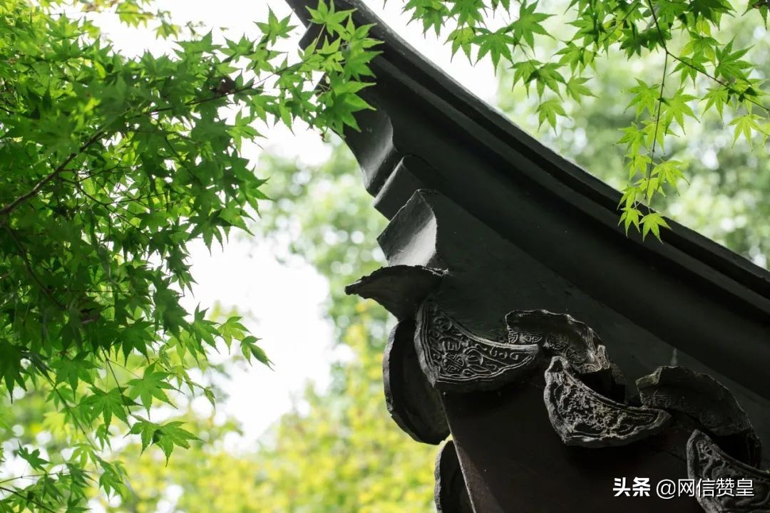 【网络中国节·清明】最美十首清明诗 | 春城无处不飞花