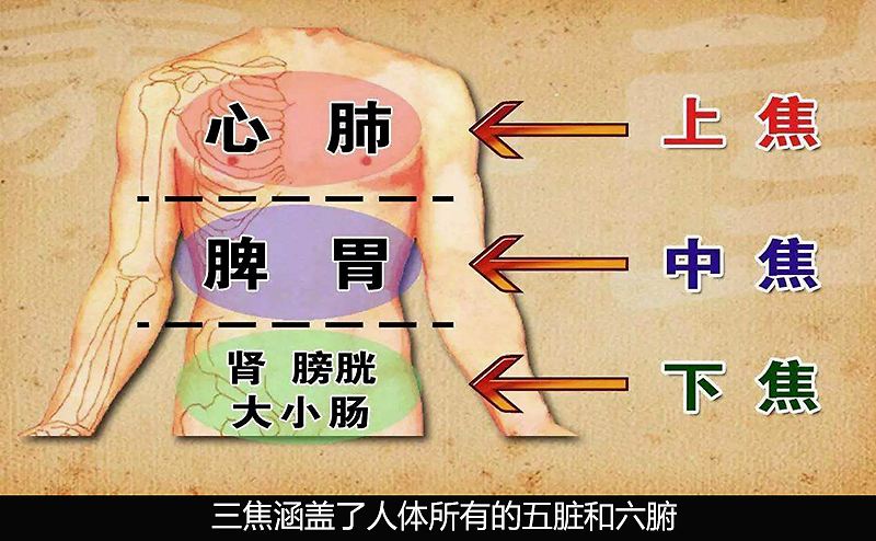 心脏供血不足，这4个表现很诚实，每天按摩2个穴位，可强健心脏