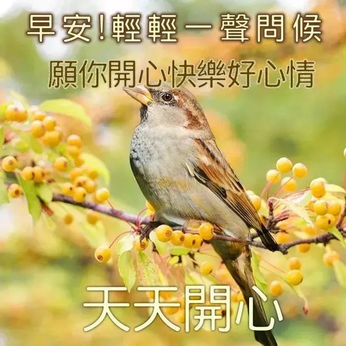 微信群发朋友的暖心早上好漂亮祝福图片，人生有你真好图片
