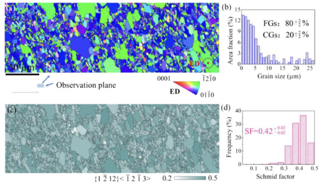 西安交大孙军院士团队：异质纤维结构镁合金，具有强韧性协同效应