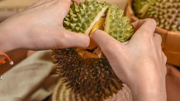 俗話說：&ldquo;一個榴蓮頂3隻雞&rdquo;？ 醫生：不管好壞，5類人需少碰