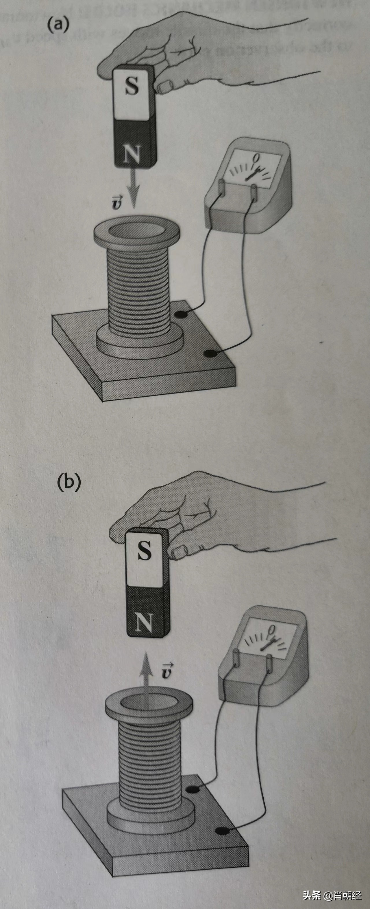 相对论之物理规律的不变性