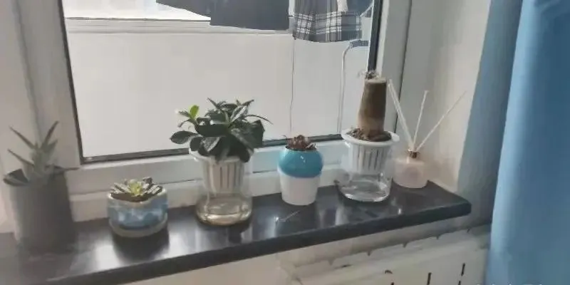 毫不夸张！国内这35所大学宿舍堪比星级酒店