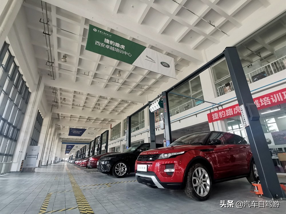 想把开车玩当职业，报高考志愿学什么专业才好？听3位嘉宾来指点