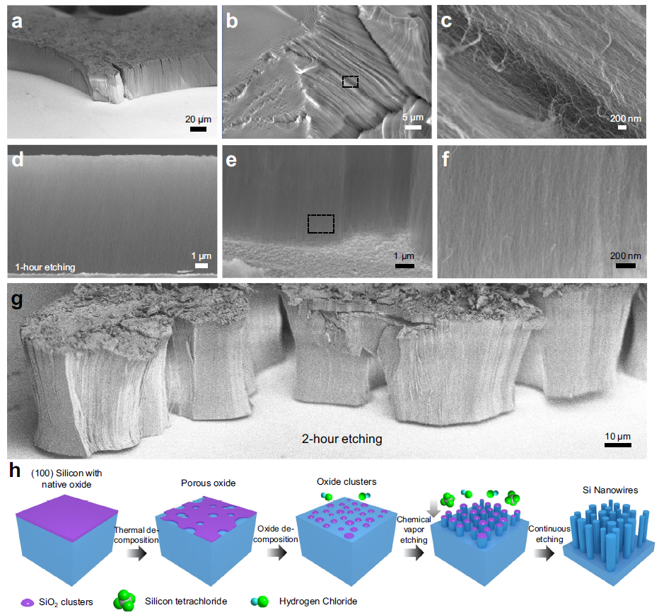 华人科学家研发超细硅纳米线阵列合成工艺，可用于光电子学等领域