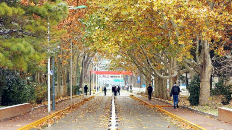 为啥有的高校叫大学，有的却叫学院？两者有何区别？看完就明白了