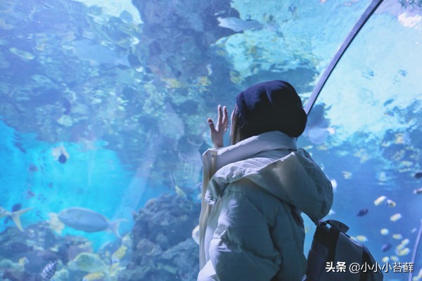5天4晚海滨之旅，遇见冬日最浪漫的大连