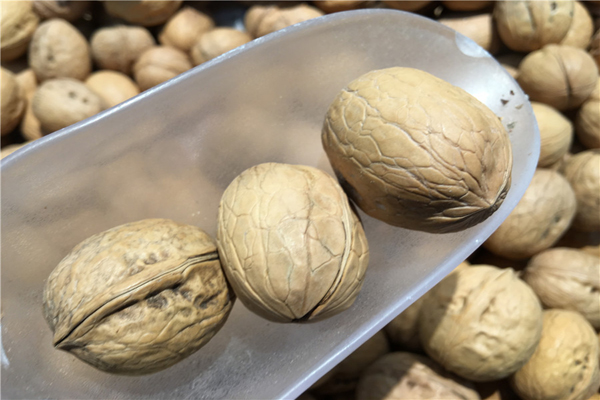 为什么不吃米面，体重就会掉得飞快？吃米比吃肉，哪种更容易胖？