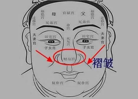 手相面相大全资料
