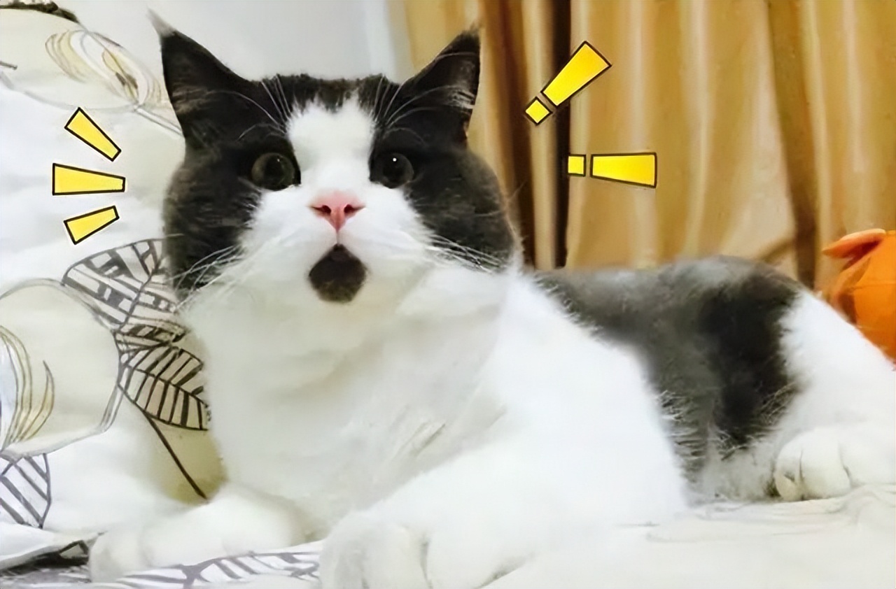 千万不要走到被税局查账