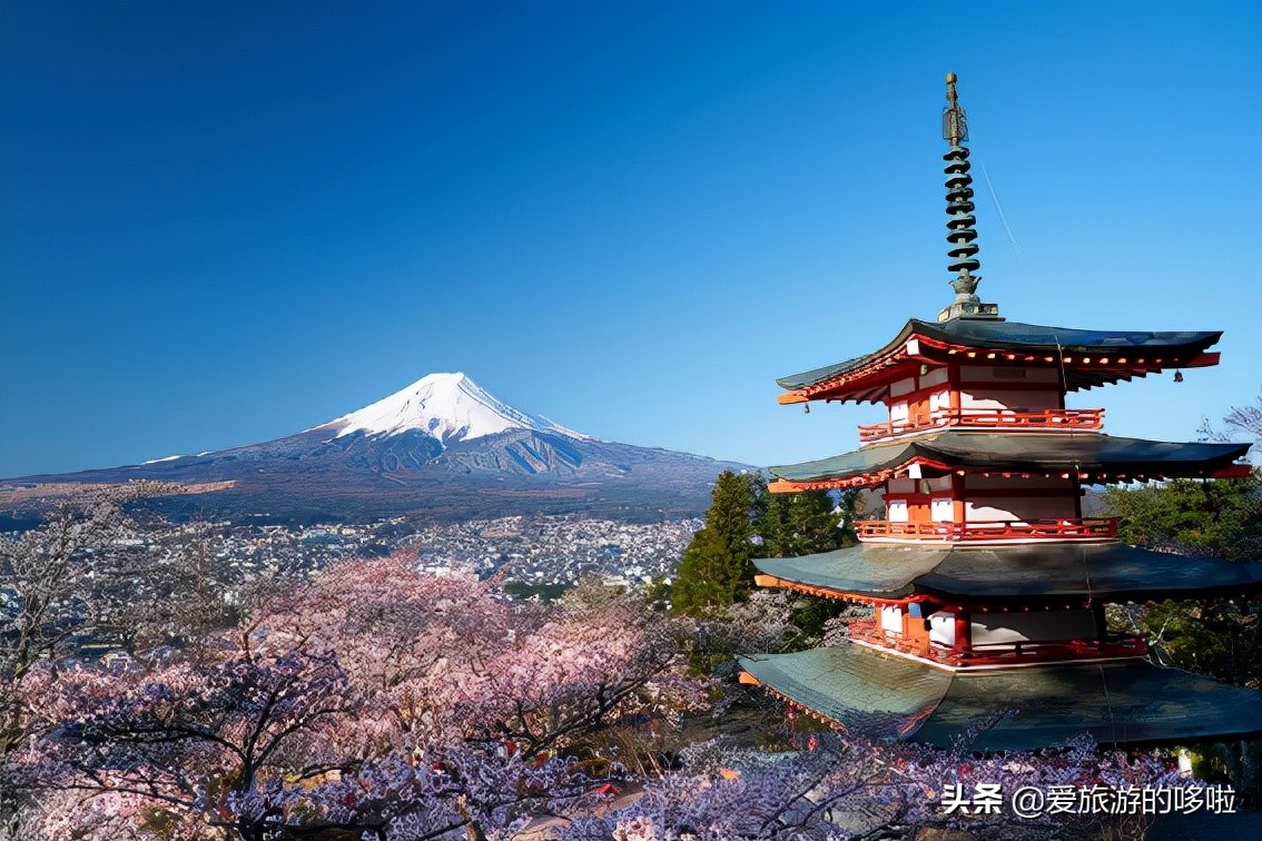 日本樱花图片（盘点大家都爱去的赏樱名地）