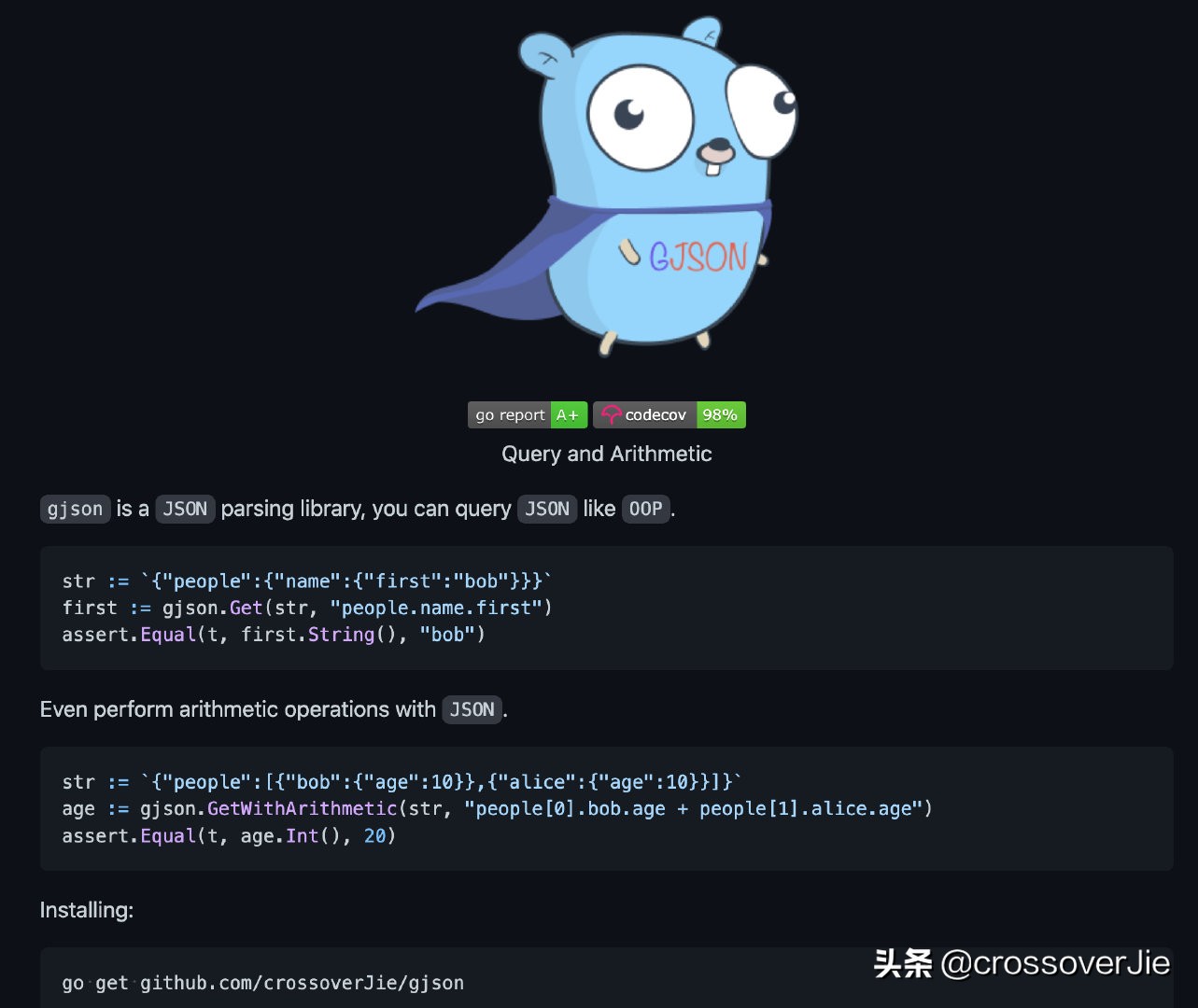 用面向?qū)ο蟮姆绞讲僮?JSON 甚至還能做四則運(yùn)算 JSON 庫(kù)