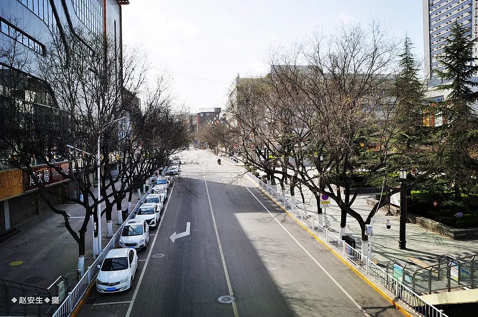 疫情笼罩下的秦州城（组图）