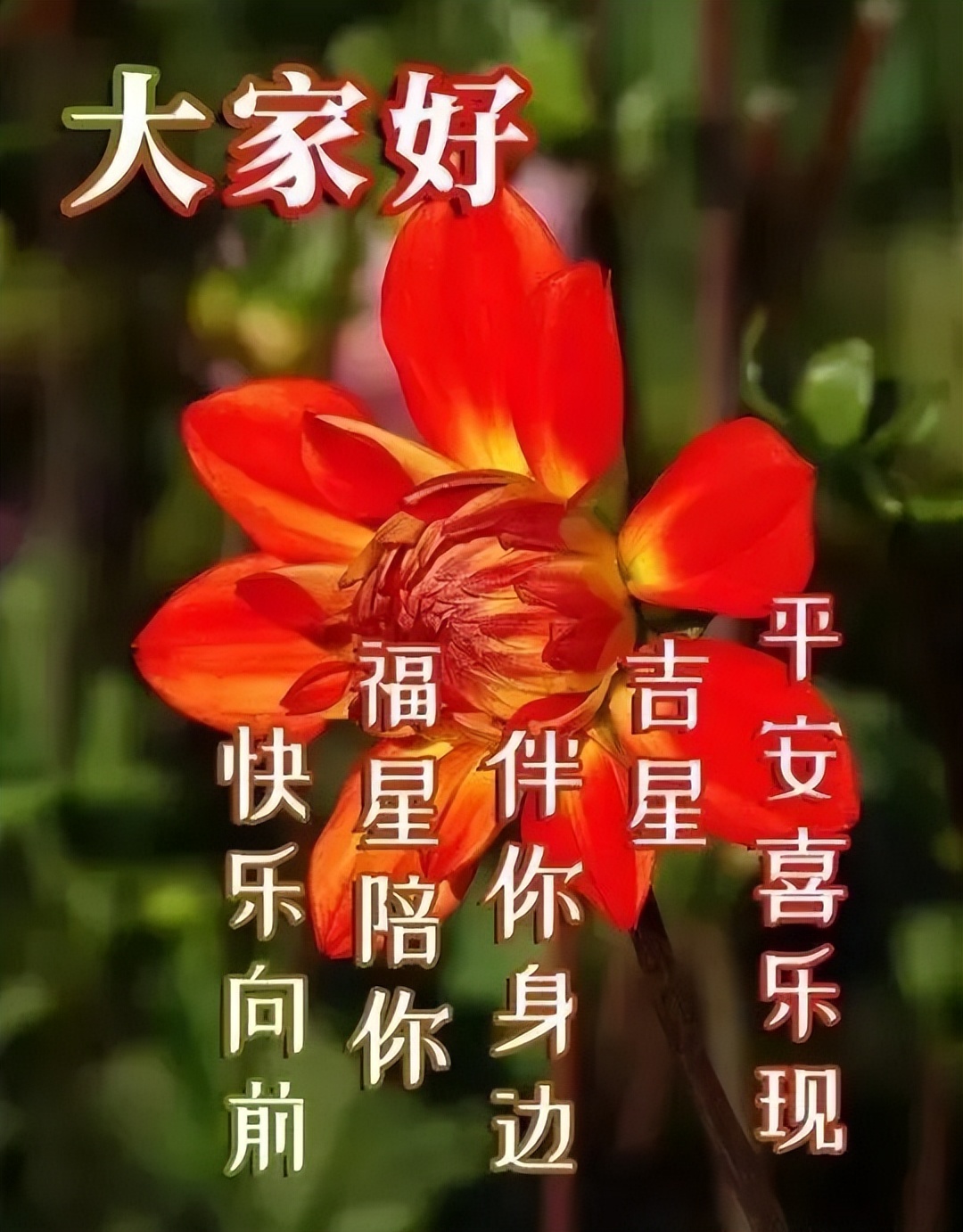 星期二早上好表情包，每天问个好，快乐多一秒，疫情无情人有情图片