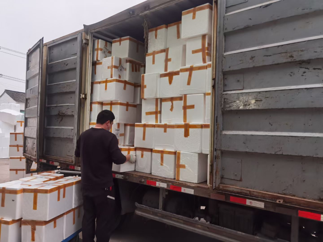 除了一个800平的大仓库,春生没有工厂,也没有店面,夫妻俩从开着冷链车