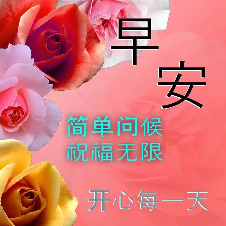 暖心问候早上好的表情包大全 天天开心、事事如意图片