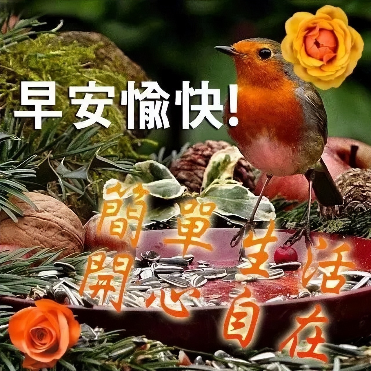 每日更新早上好动态表情图片，早安精神好，心情好人不老图片