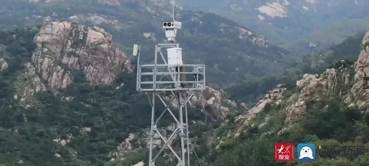 「好品山东」“森林卫士”