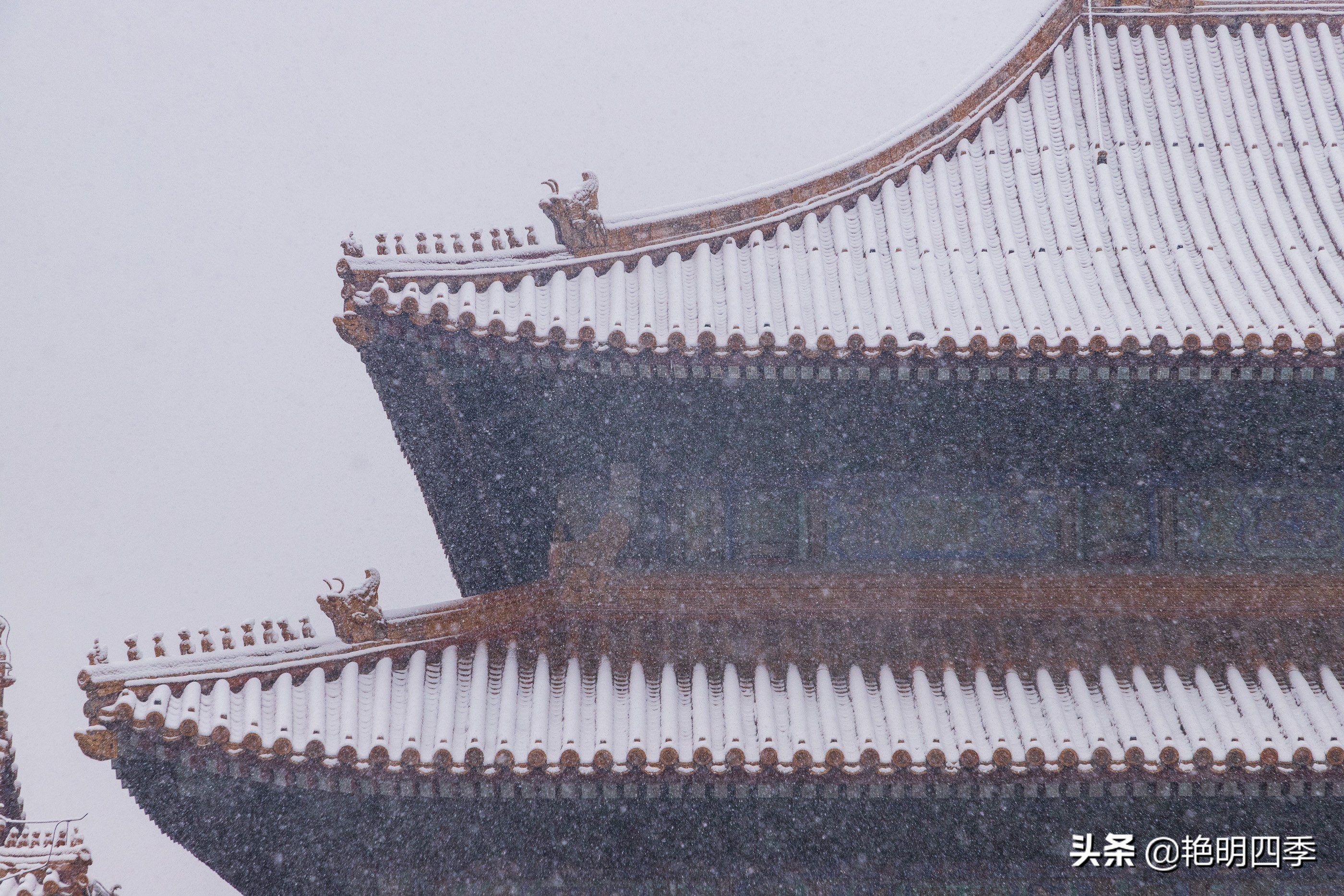 春天里，在紫禁城看一场大雪，与冬天做一个郑重的告别