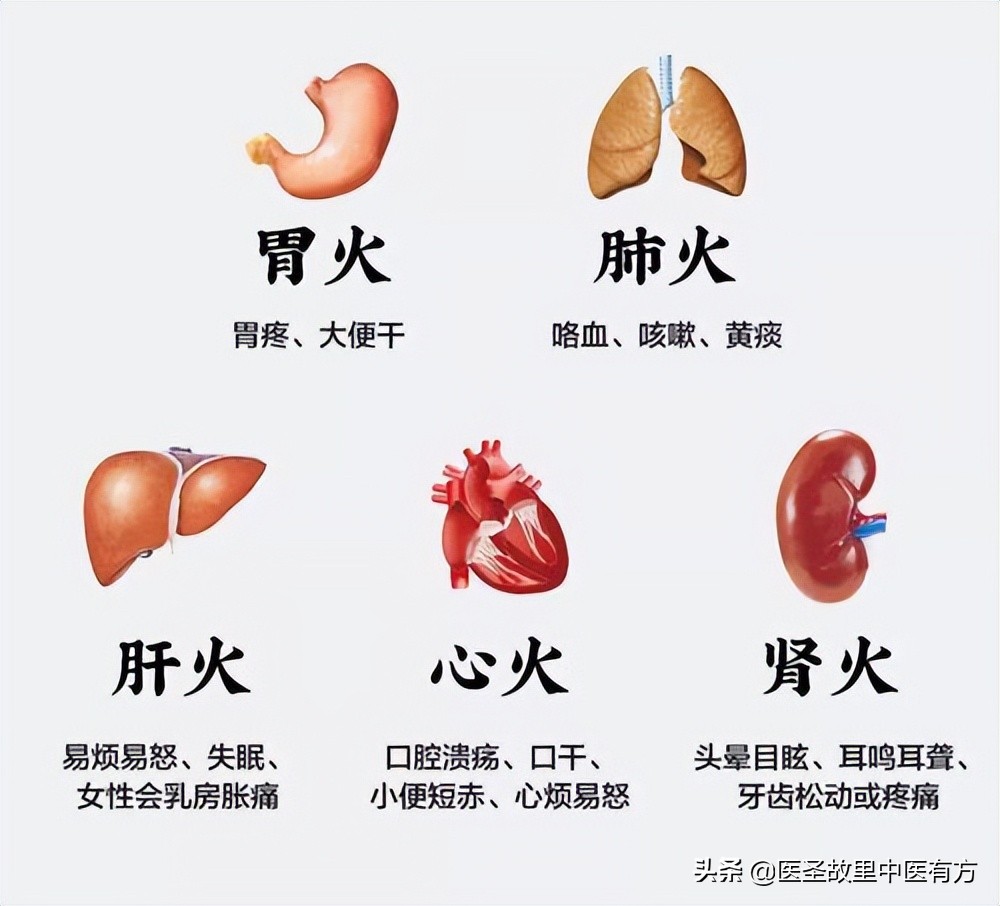 肺火,肝火,心火,胃火,肾火,你上的火属于哪一把?快来浇灭它