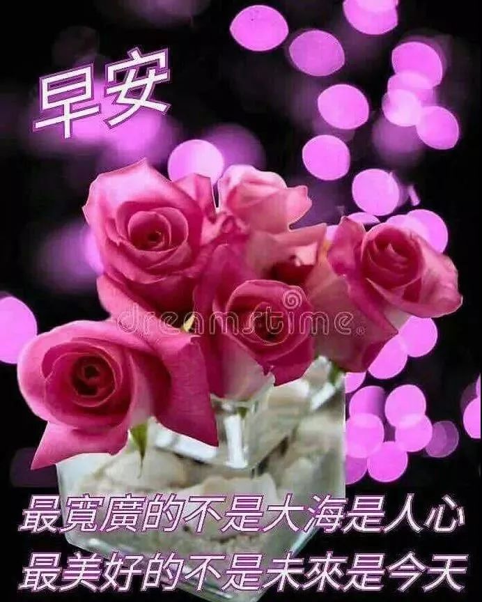 周日感恩相遇，真挚的情谊天长地久 天气渐冷，注意保暖图片