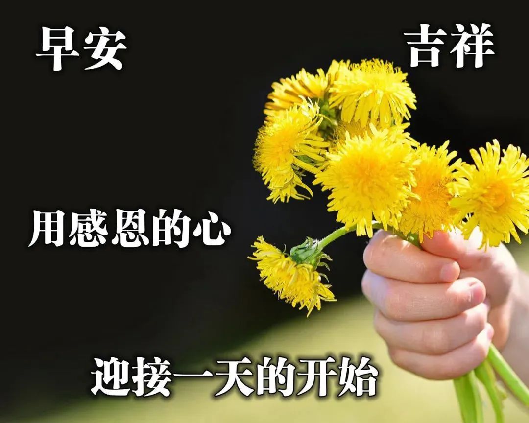 「2022.04.26」早安心语，正能量哲理语录句子文案 早上好励志图文