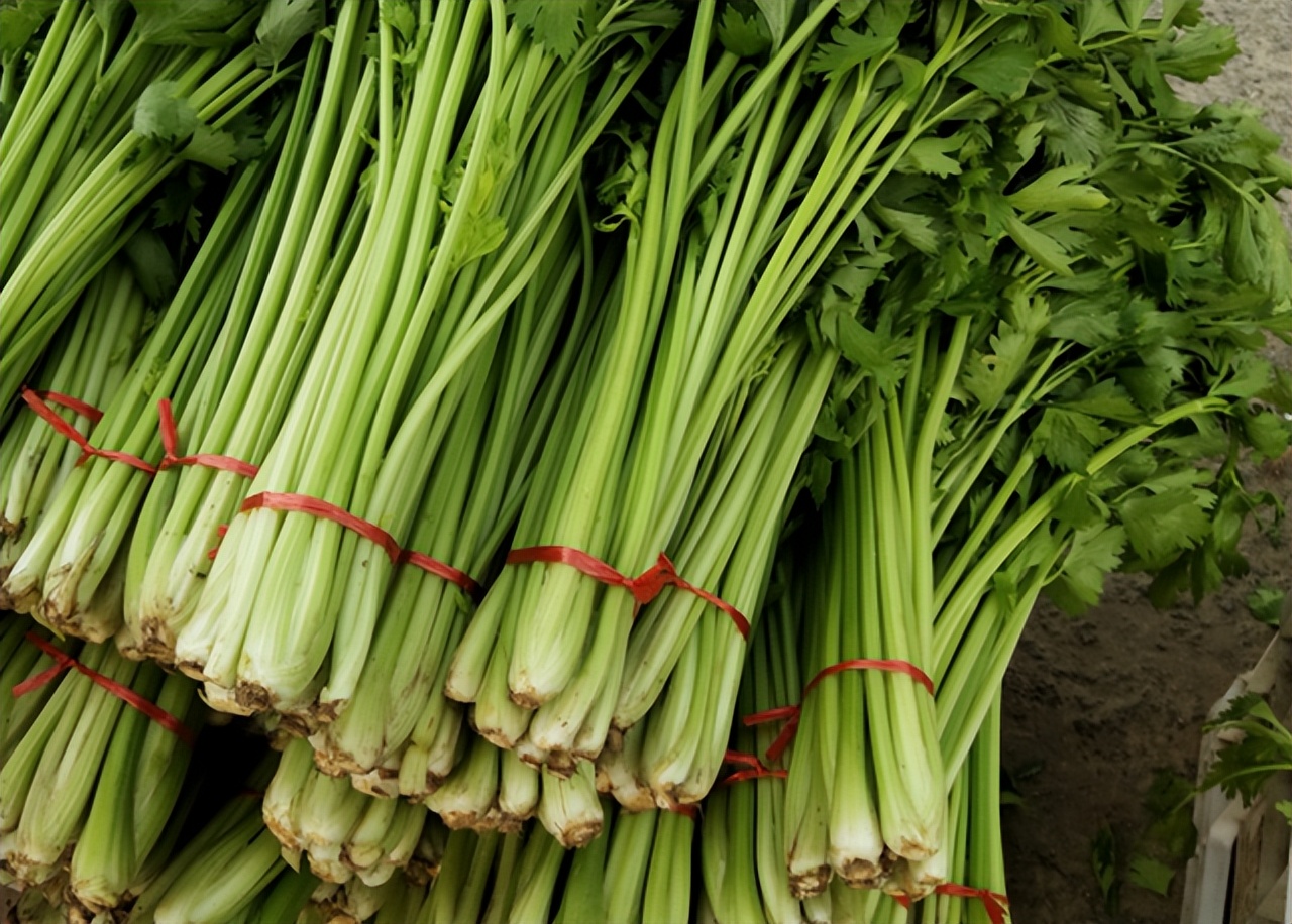 沈春阳瘦身成功，变身“白富美”？学会科学减肥，或许你也可以