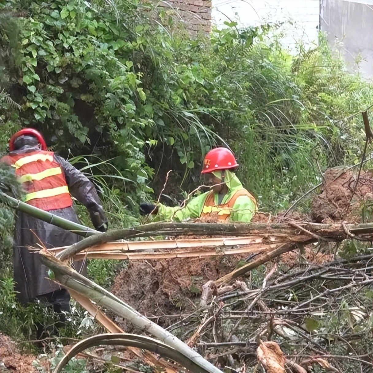 「防灾减灾」连城北团：爱心企业组织大型机械助力道路抢修