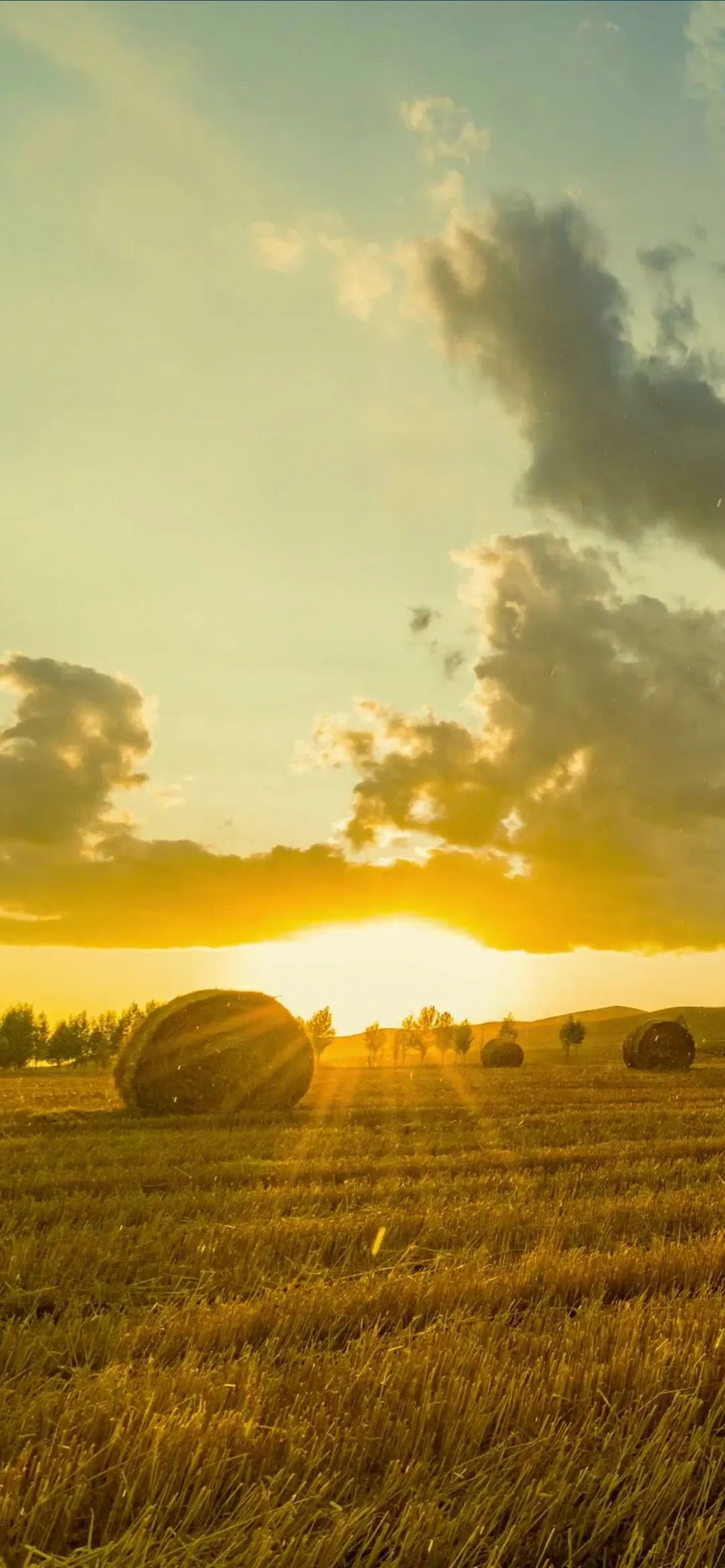 「帧帧如画」冬奥会开幕式的24节气倒计时壁纸分享