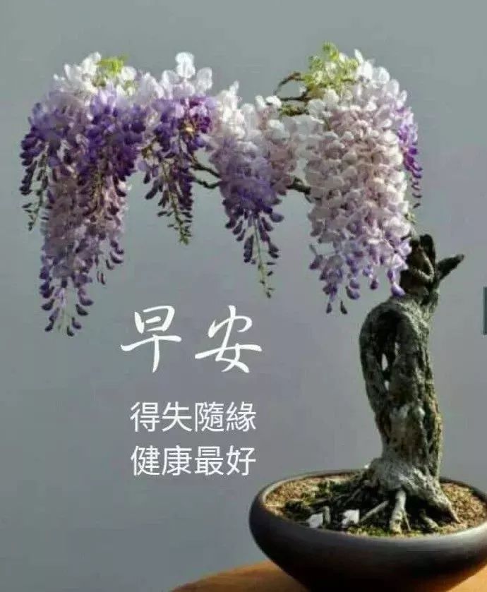 微信早上好问候语，简单生活，平安吉祥，开心自在，天冷加衣图片