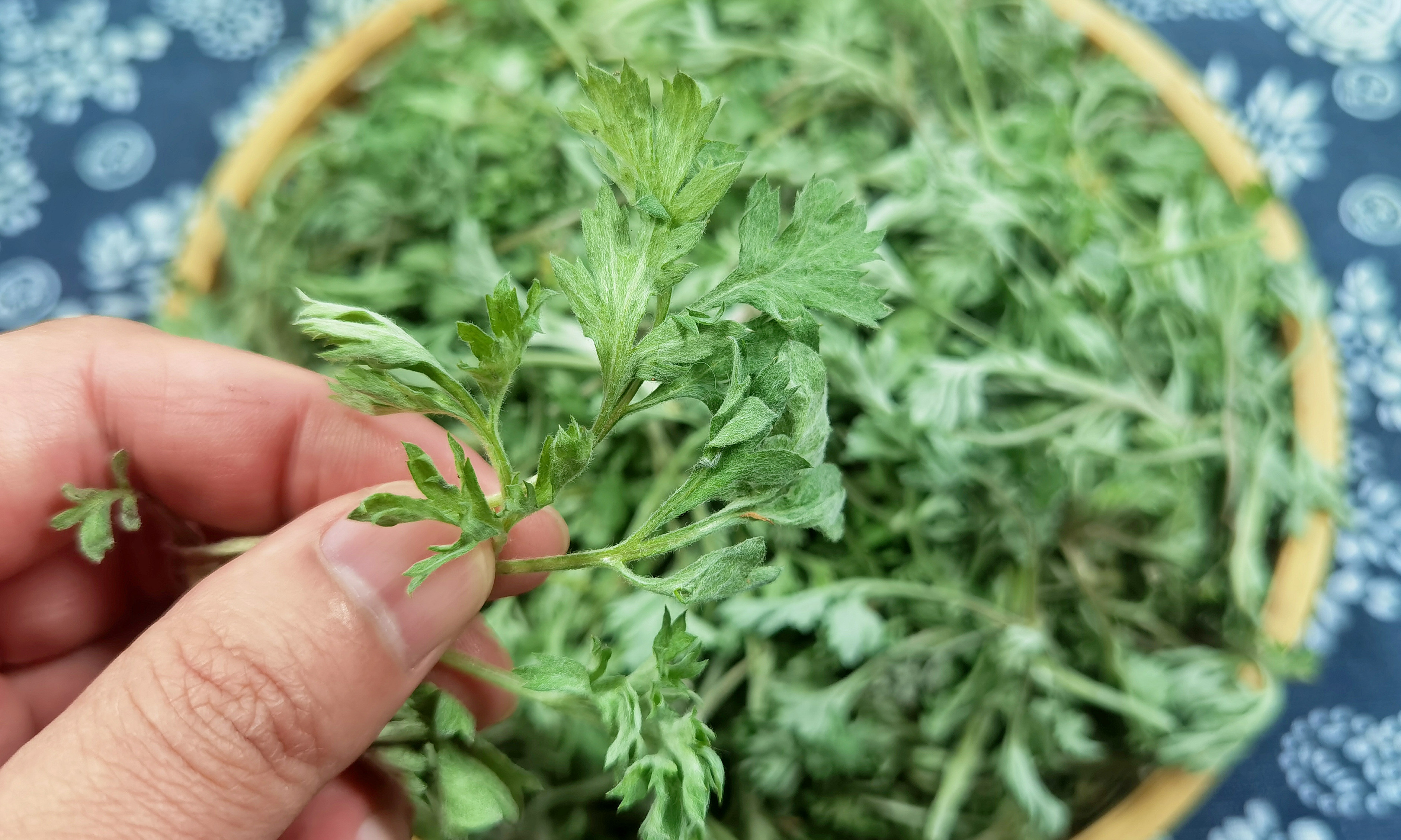 清明后,荠菜韭菜靠边站,抓紧吃艾草,清香可口营养高,别不懂吃