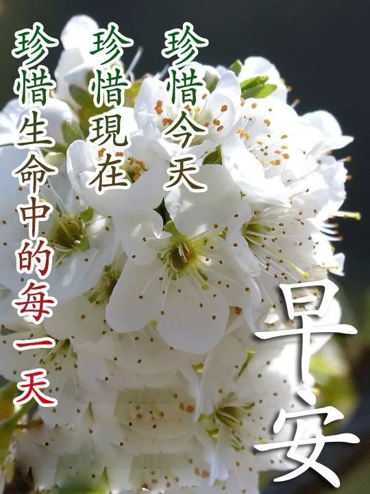 朋友圈暖心的周四早晨好图片带字，问候很平静却很温馨图片