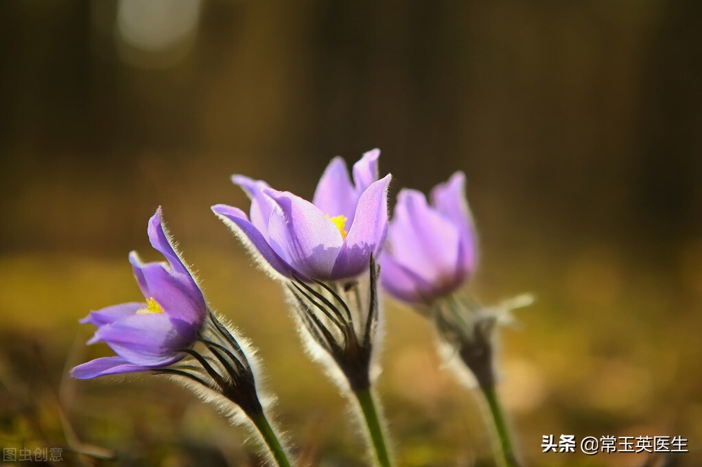 写在三月的古诗词10首