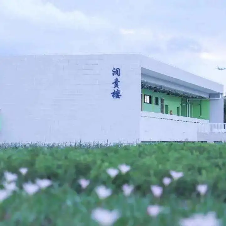 贯彻“双减政策”,共促健康成长|双流区黄甲小学线上家长会