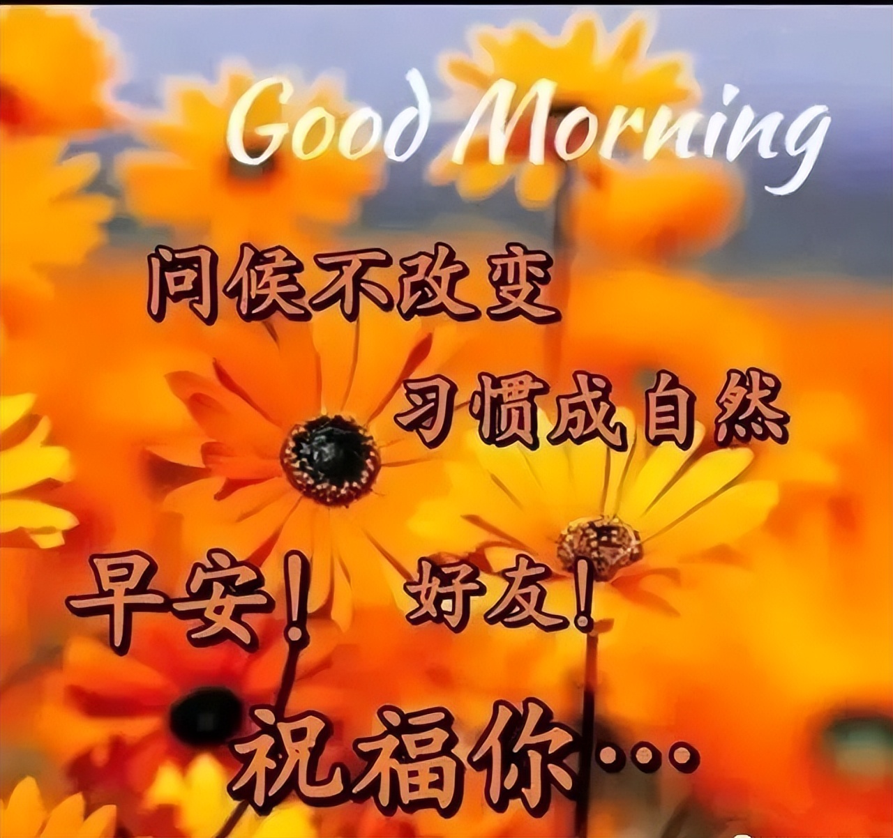 秋天漂亮的早上好表情包，温馨动态祝福图片 乐观是失意后的坦然图片