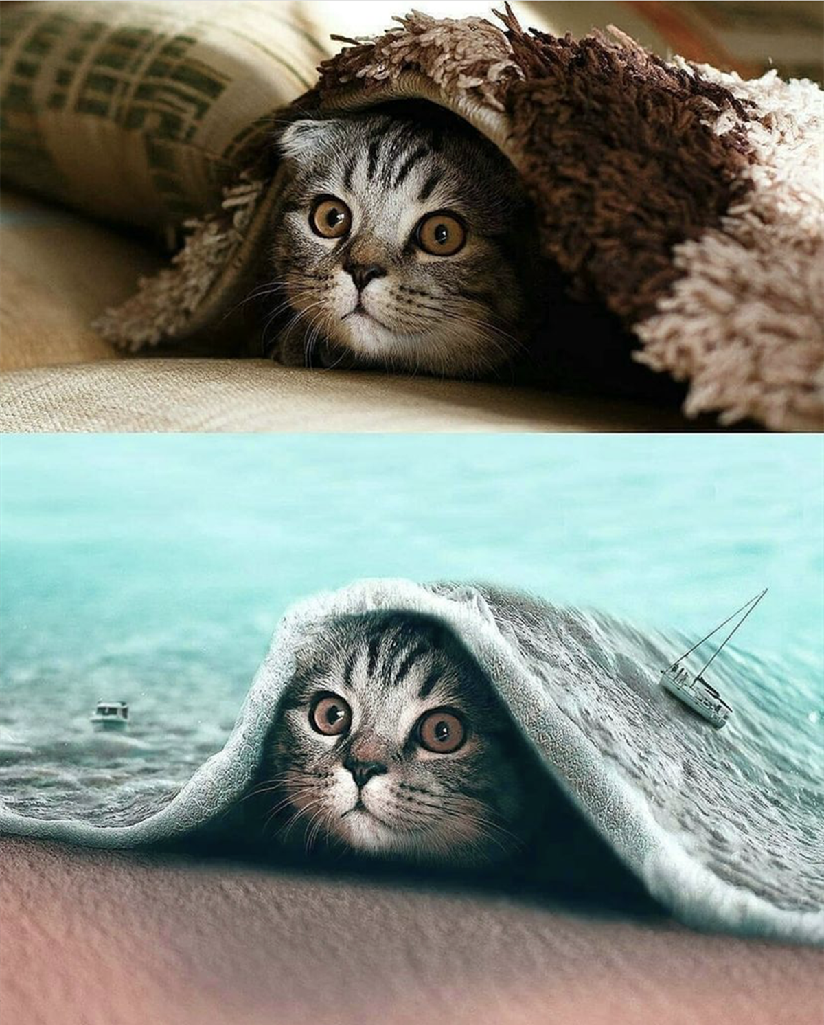 是一位脑洞大开的艺术家,通过他这一种略带有童话趣味的幻想手法,幻想