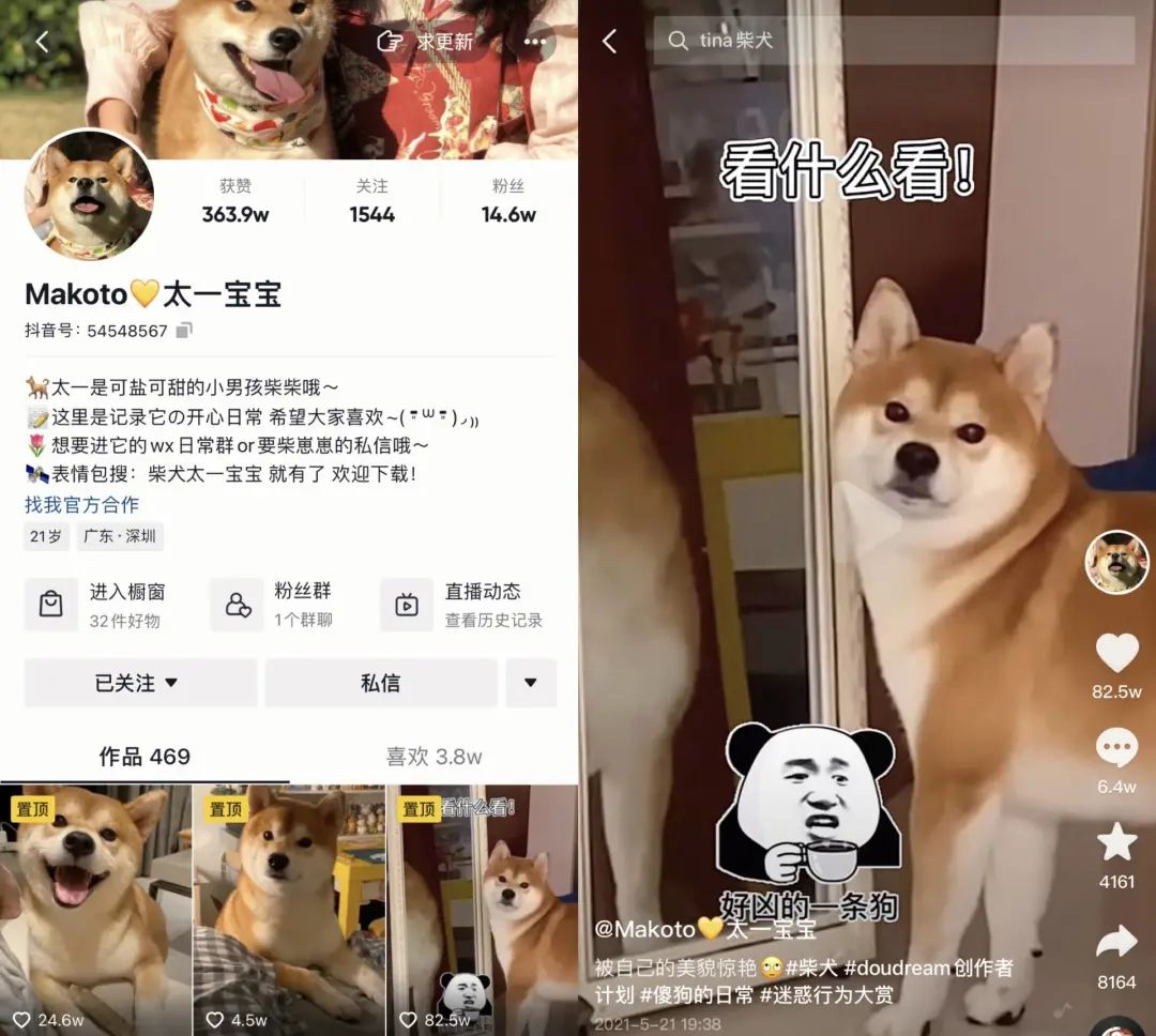 每天都在用的表情包，竟然是一个百大UP主？